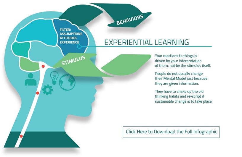 experiential behavior diagram