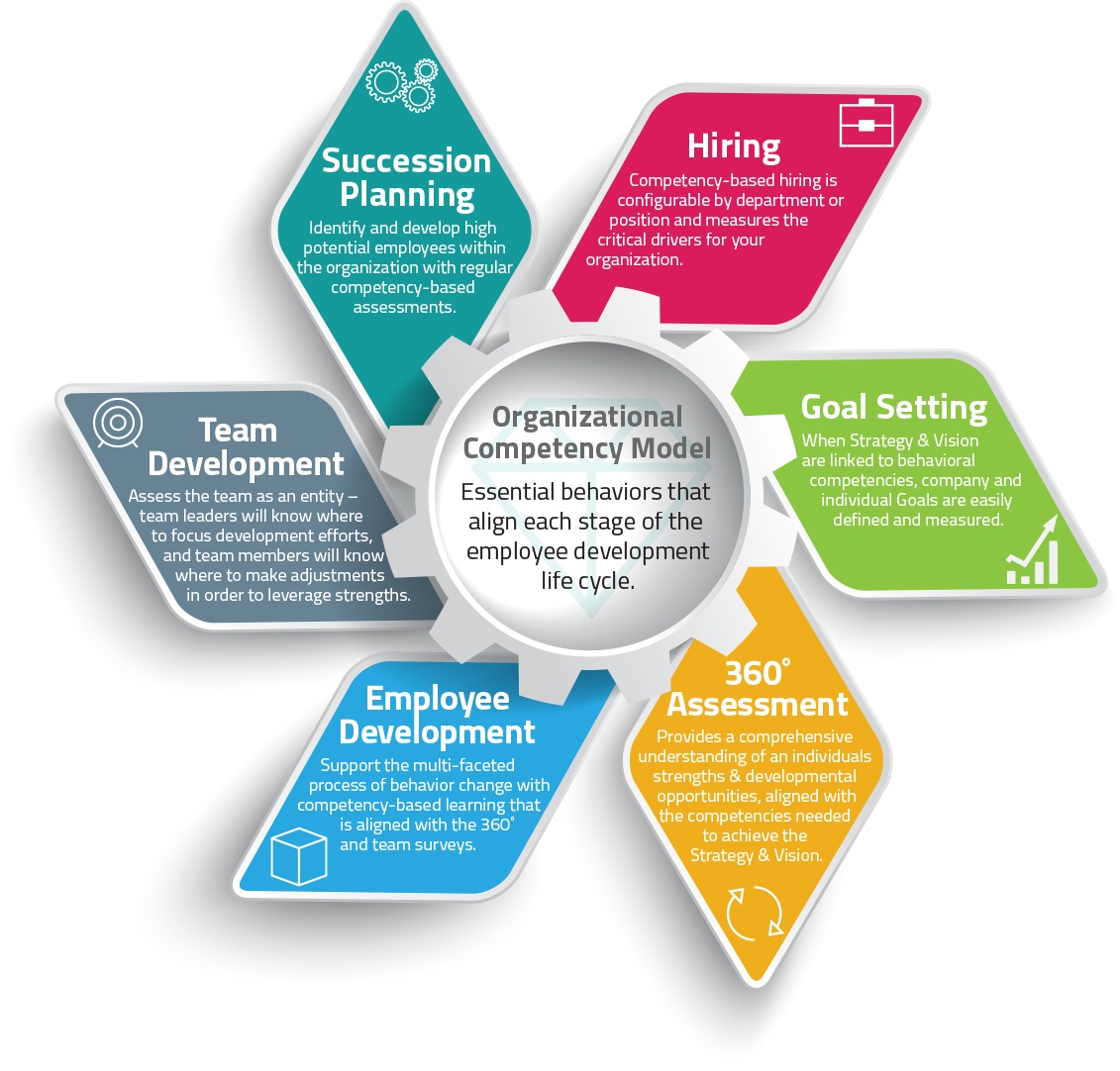 FREE Infographic - How Competencies Are Linked To All Stages Of Employee Development